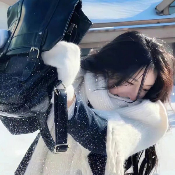 森林之北